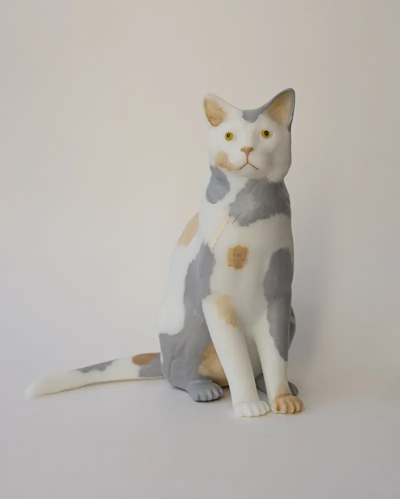 varya schuka &mdash; Кошка с трещинкой